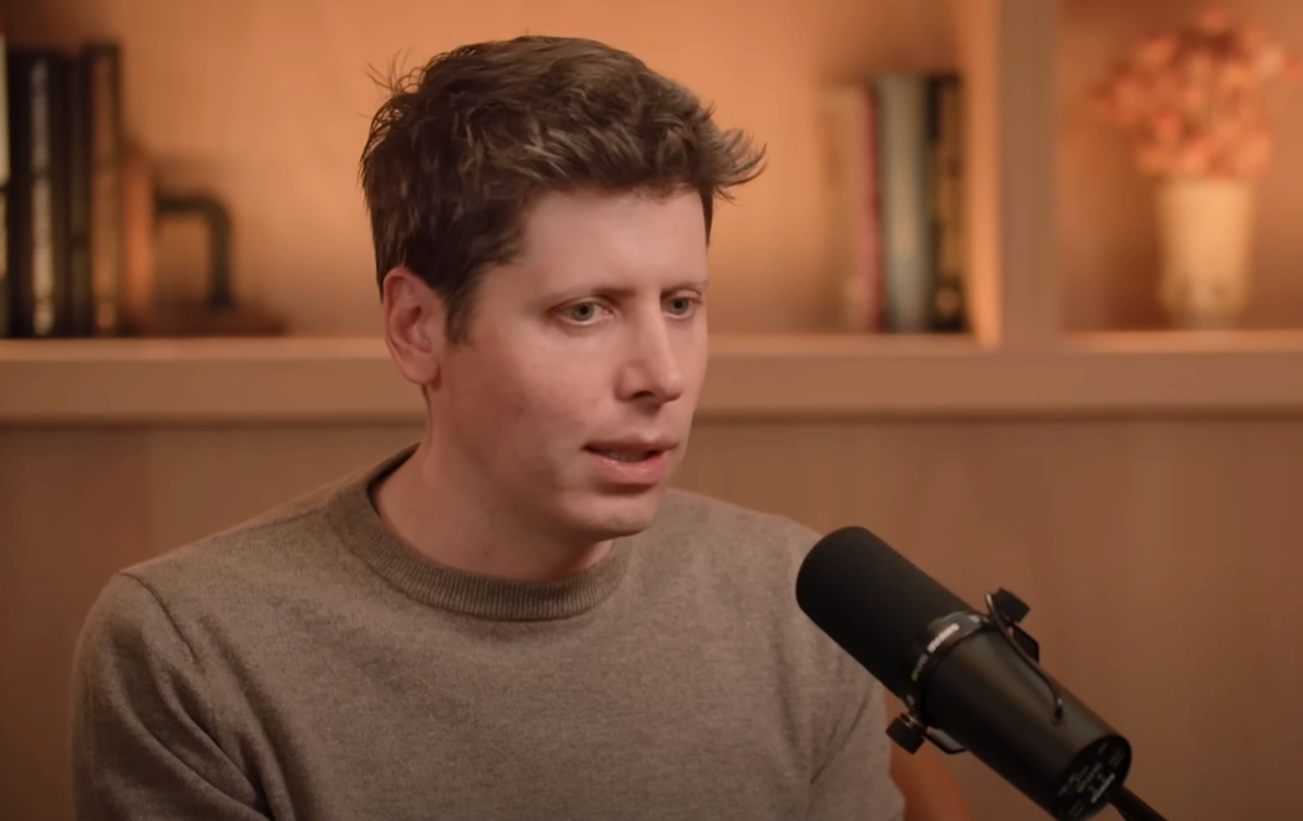 CEO OpenAI Sam Altman.
