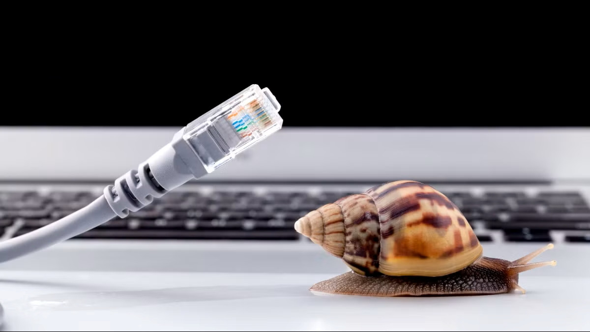 Mạng LAN và WiFi yếu là “đặc sản” của nhiều văn phòng nhỏ. Một cuộc họp online bị giật hoặc mất tiếng có thể làm chậm tiến độ cả phòng ban.