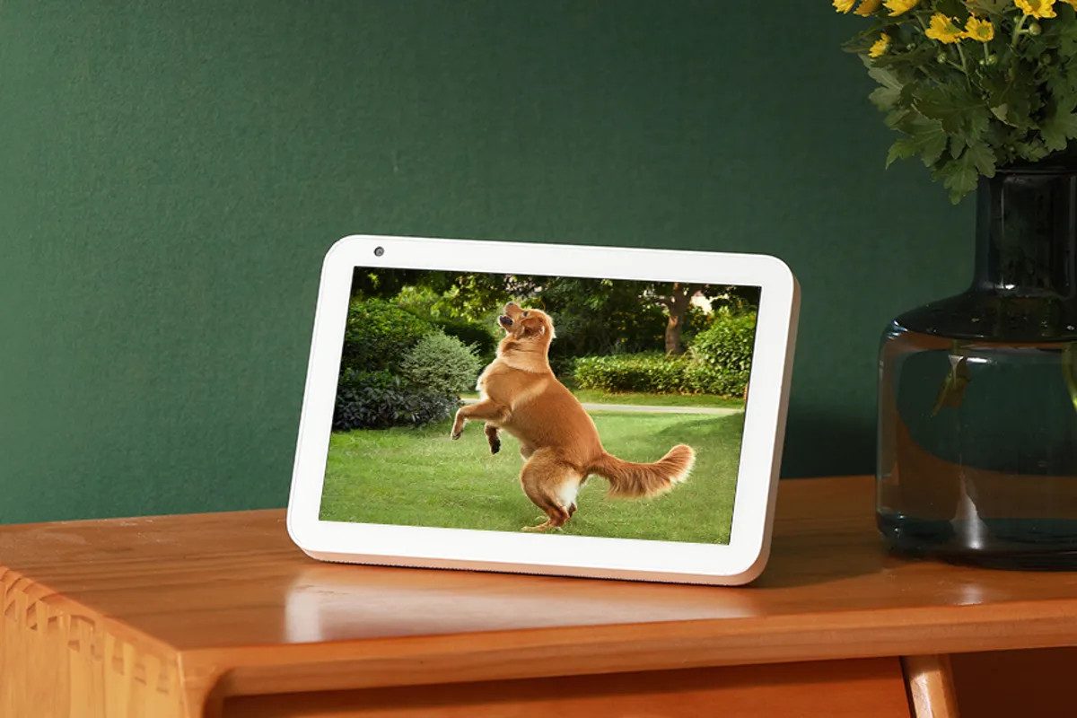 Video hiển thị trên Echo Show, không hiển thị trên app Alexa