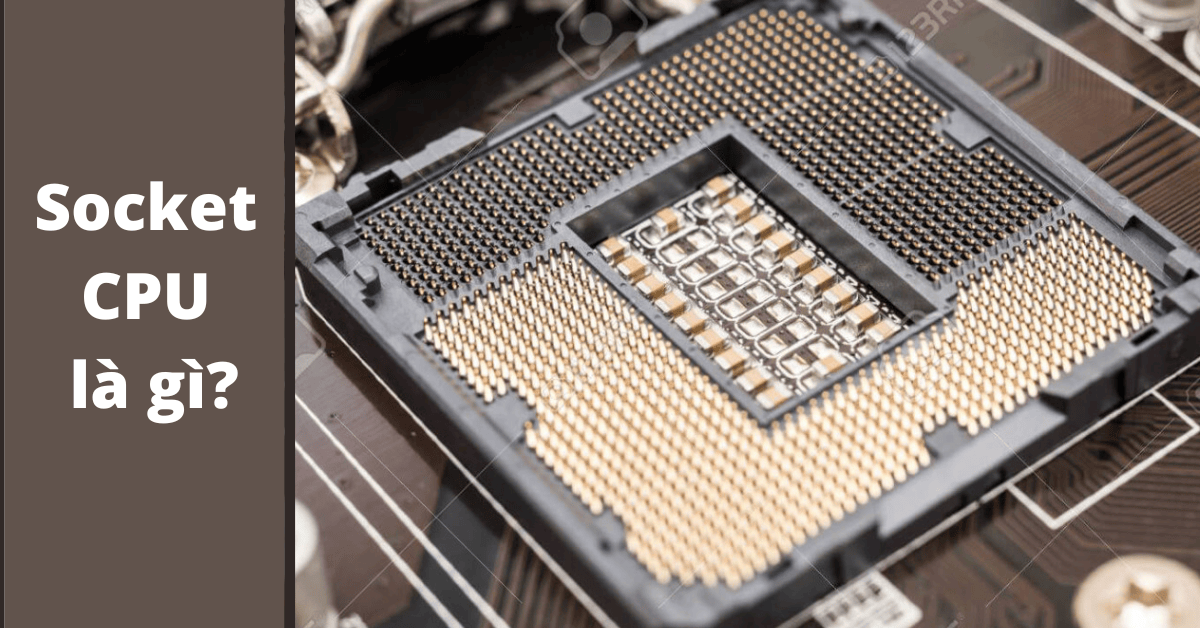 Socket CPU là gì? Tìm hiểu các loại socket CPU phổ biến 2024