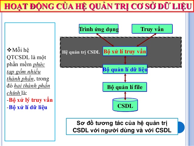 Phần mềm cơ sở dữ liệu là gì? 