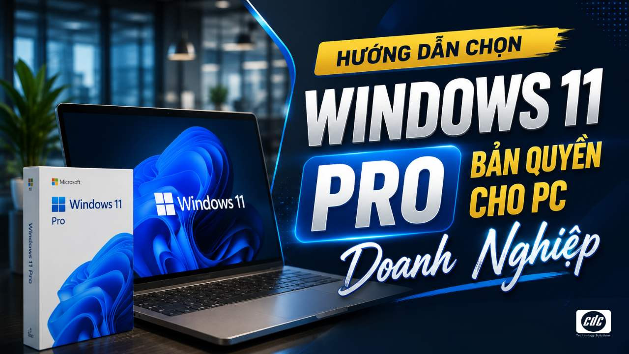 Chọn Windows 11 Pro bản quyền cho PC doanh nghiệp: OEM, FPP, ESD khác nhau thế nào?