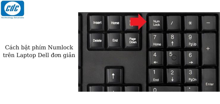 Cách bật/ tắt phím Numlock trên Laptop Dell đơn giản