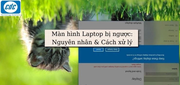 Màn hình Laptop bị ngược: Nguyên nhân & Cách xử lý