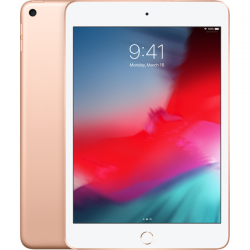 iPad mini 5 7.9-inch ( 2019) Wi-Fi 64GB Gold (MUQY2ZA/A)