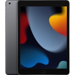 iPad Gen 9 10.2" 2021 Wifi 256Gb - Space Gray MK2N3ZA/A