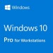 Phần mềm Microsoft Windows 10 Pro 32/64 bit Eng Intl 1pk DSP OEI DVD