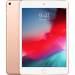 iPad mini 5 7.9-inch (2019) Wi-Fi 256GB Gold (MUU62ZA/A)